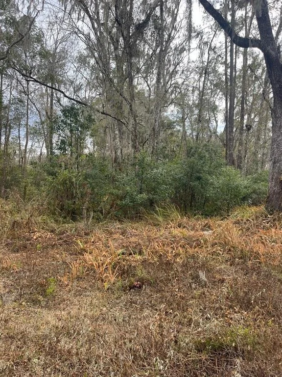 Unit for sale at 519 WARD AVENUE, BROOKSVILLE, FL 34601