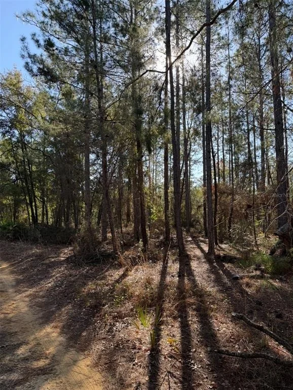 Unit for sale at TBT 5TH WAY, INTERLACHEN, FL 32148