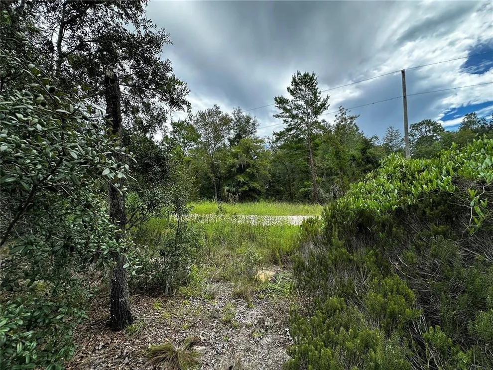 Unit for sale at 0000 NE 149TH COURT, WILLISTON, FL 32696