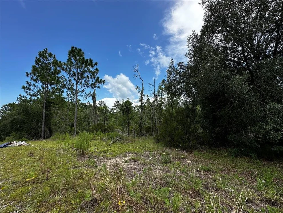 Unit for sale at TBD NE 16TH LANE, WILLISTON, FL 32696