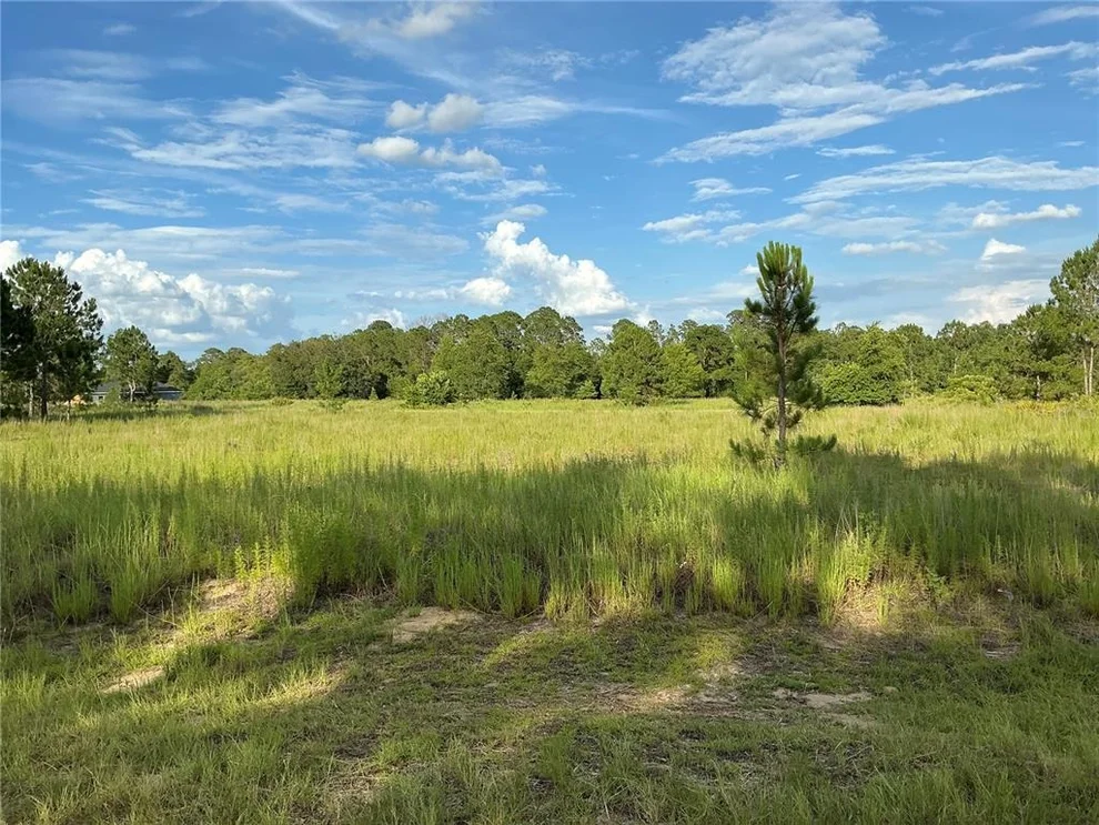 Unit for sale at MAPLE LN WAY, OCKLAWAHA, FL 32179