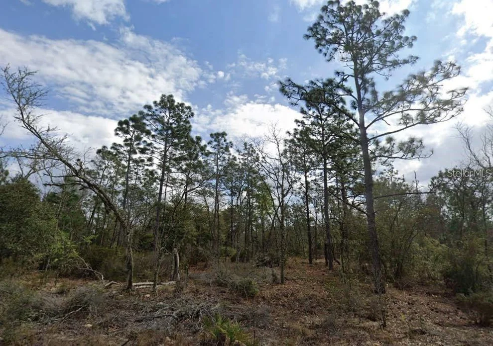 Unit for sale at PARK STREET, INTERLACHEN, FL 32148