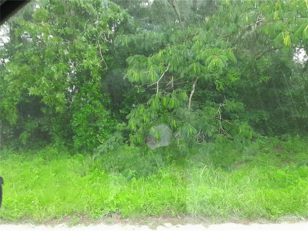 Unit for sale at tbd NE 48TH STREET, WILLISTON, FL 32696
