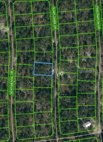 Unit for sale at 256 SUNFLOWER AVENUE, LAKE PLACID, FL 33852