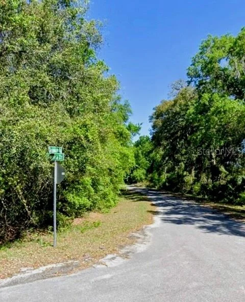 Unit for sale at SEQUOIA DRIVE, OCKLAWAHA, FL 32179