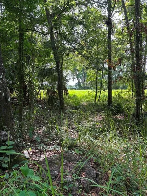 Unit for sale at 12168 PONCE DE LEON BOULEVARD, BROOKSVILLE, FL 34601