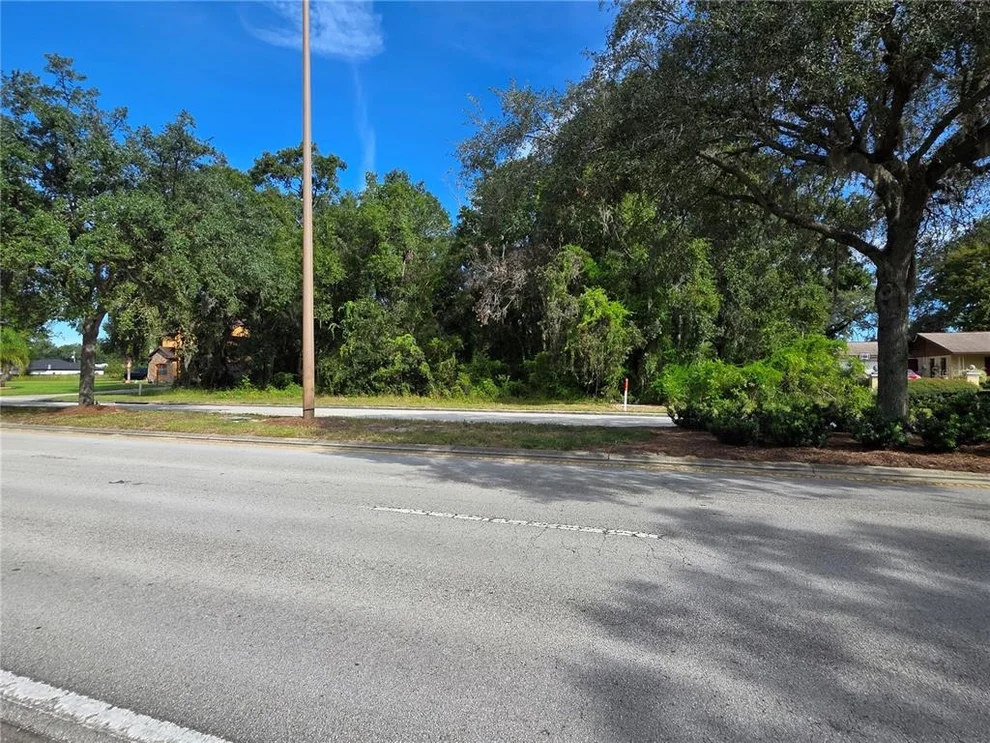 Unit for sale at TBD HIGHWAY 42, SUMMERFIELD, FL 34491
