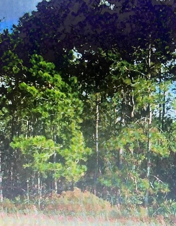 Unit for sale at SW 194 ST, ARCHER,FL 32618 - O4462-011-000, ARCHER, FL 32618