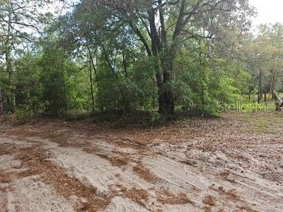 Unit for sale at 0 SW 90, DUNNELLON, FL 34432