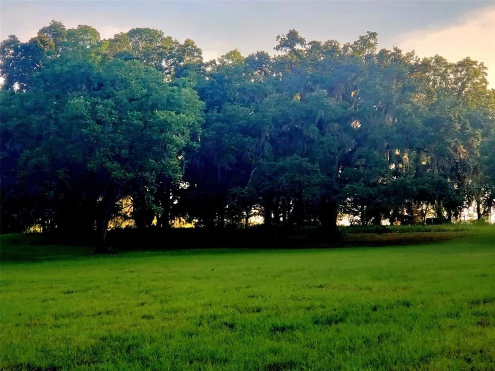 Unit for sale at 1077 SW 144TH COURT ROAD, OCALA, FL 34481