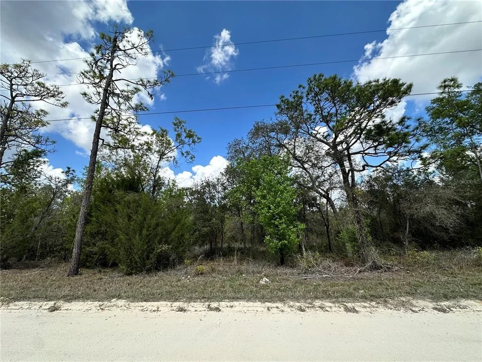 Unit for sale at tbd NE 63RD PLACE, WILLISTON, FL 32696