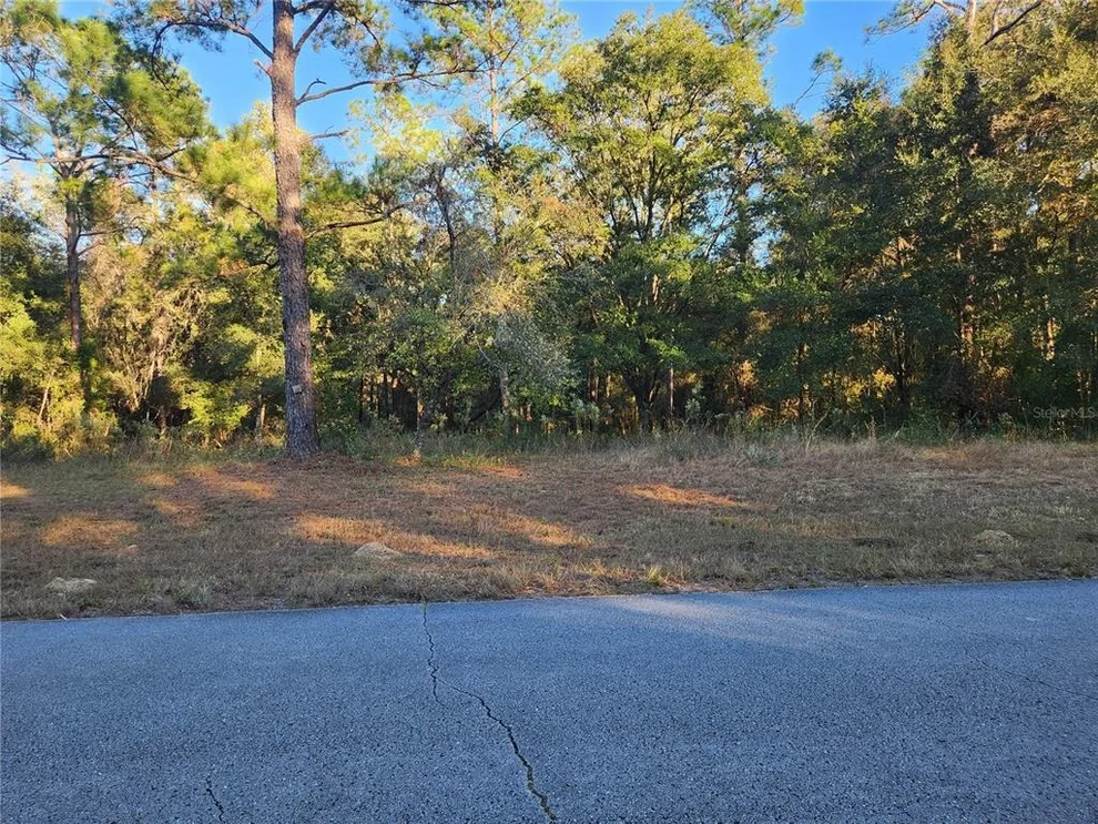 Unit for sale at 9155 N ALAMEDA DRIVE, CITRUS SPRINGS, FL 34434