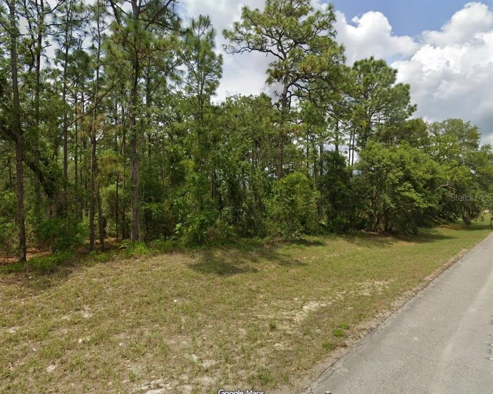 Unit for sale at TBD SW 150TH PLACE, OCALA, FL 34473