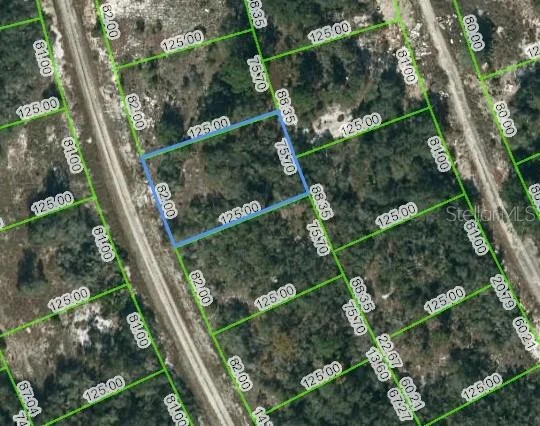 Unit for sale at 217 BLUE SKY DRIVE, LAKE PLACID, FL 33852