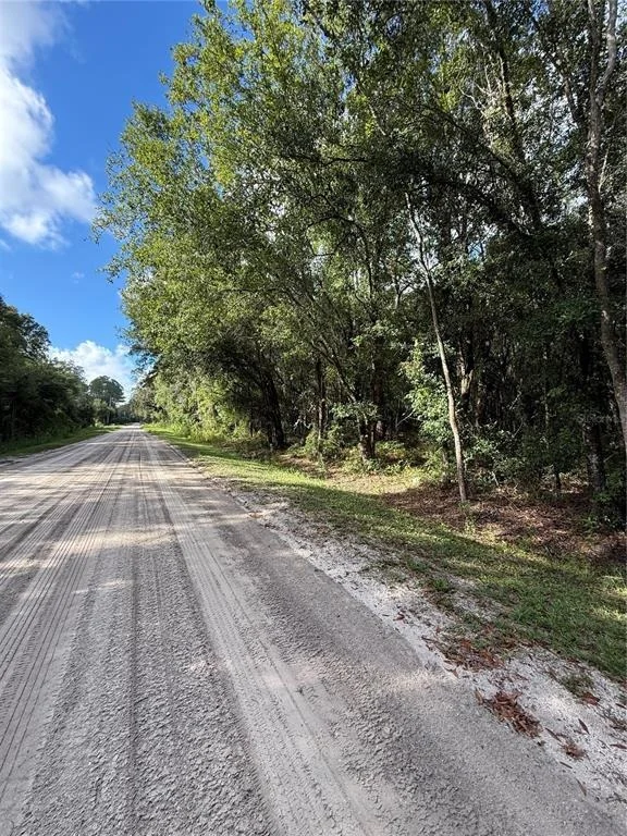 Unit for sale at 1166 HONEYTREE STREET, BUNNELL, FL 32110