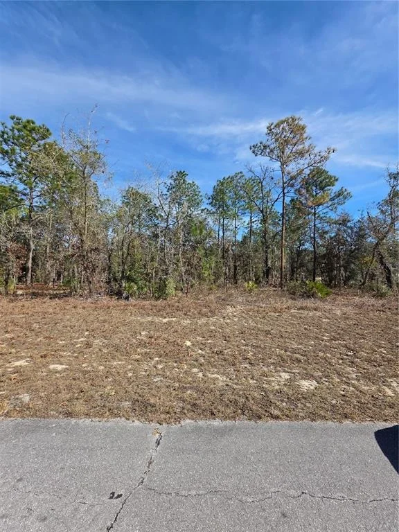 Unit for sale at TBD SW 87TH AVENUE, OCALA, FL 34473