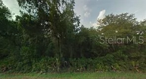 Unit for sale at NE 48TH AVENUE, CITRA, FL 32113