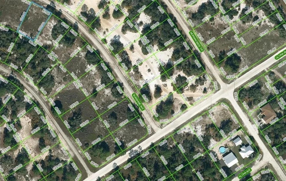 Unit for sale at 417 SUNSHINE AVENUE, LAKE PLACID, FL 33852