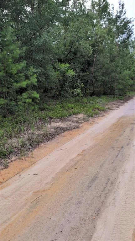 Unit for sale at PINEWAY DRIVE, INTERLACHEN, FL 32148