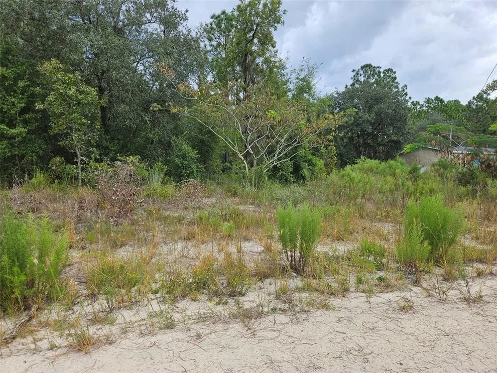 Unit for sale at 0000 NE 67TH STREET, BRONSON, FL 32621