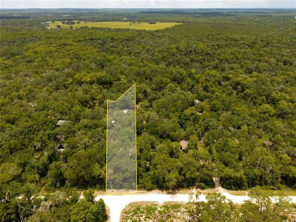 Unit for sale at 7333 RIVERVIEW DRIVE, WEBSTER, FL 33597