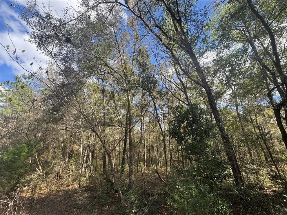 Unit for sale at 0000 NE 154TH AVENUE, WILLISTON, FL 32696