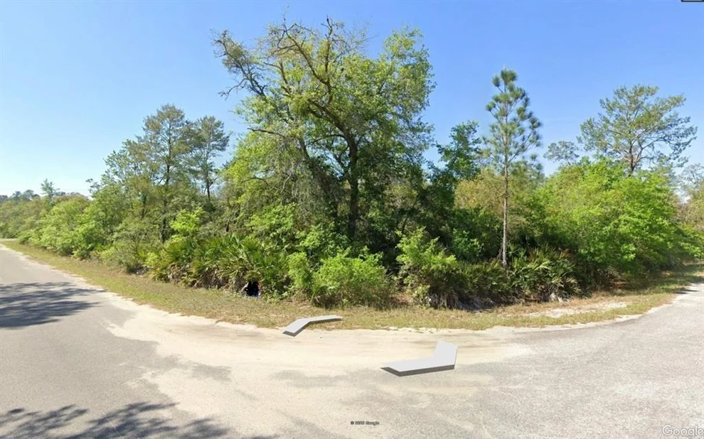 Unit for sale at 43 SEQUOIA TRAIL, OCKLAWAHA, FL 32179