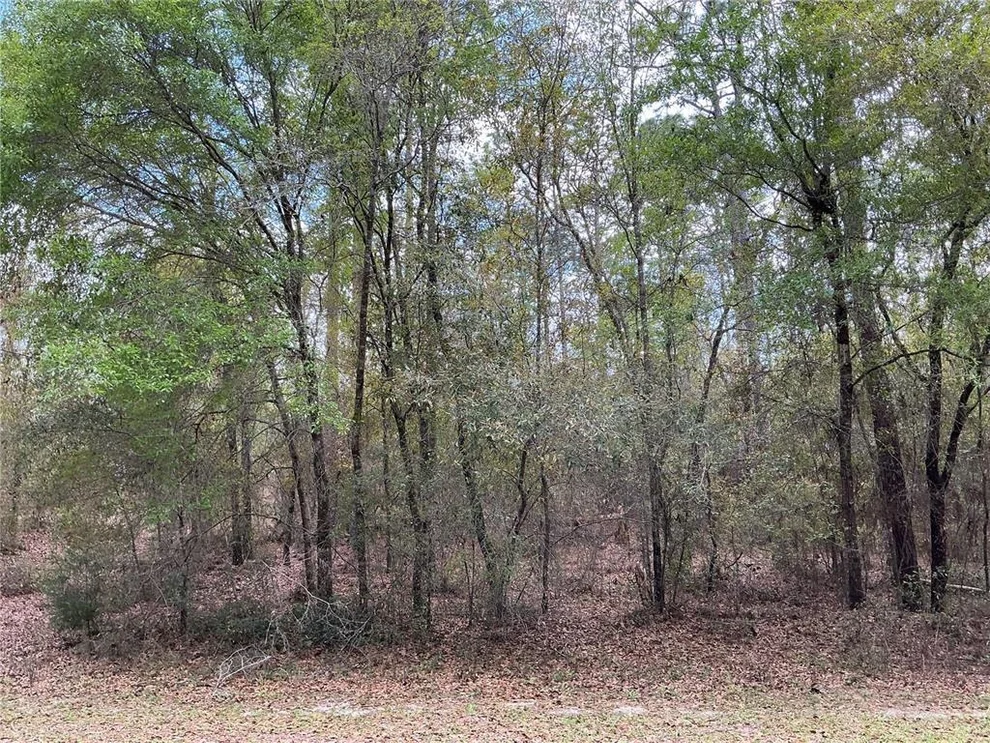 Unit for sale at SW 208TH CIRCLE, DUNNELLON, FL 34431
