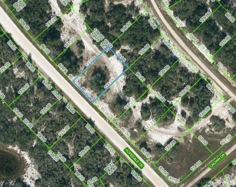 Unit for sale at 269 HOPEDALE DRIVE, LAKE PLACID, FL 33852