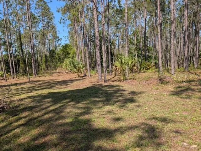 Unit for sale at 540 SW 326TH AVENUE, STEINHATCHEE, FL 32359
