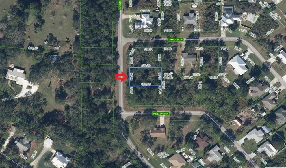 Unit for sale at 1541 BUCK STREET, LAKE PLACID, FL 33852