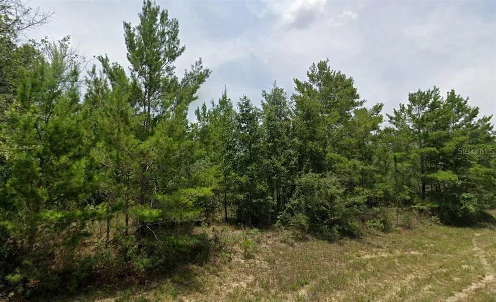 Unit for sale at HAMPSHIRE BOULEVARD, CHIPLEY, FL 32428
