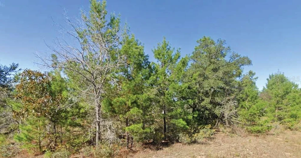 Unit for sale at DUMAJACK ROAD, CHIPLEY, FL 32428