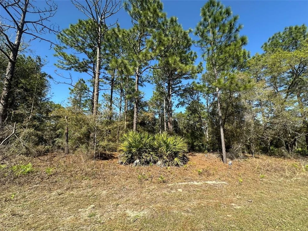 Unit for sale at 833 W CHAMPLAIN LANE, CITRUS SPRINGS, FL 34434