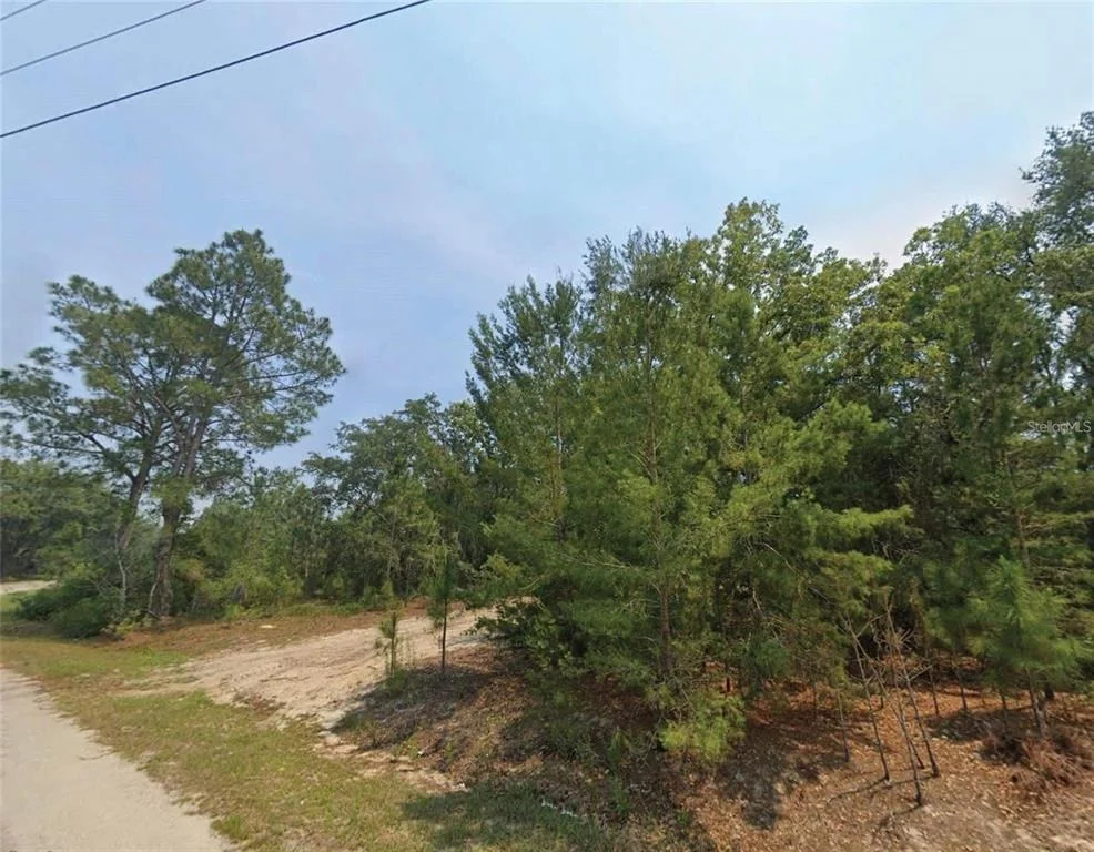 Unit for sale at MALAUKA PLACE, OCKLAWAHA, FL 32179