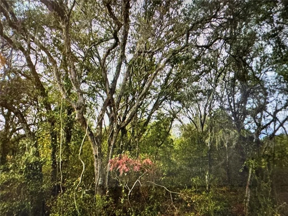 Unit for sale at 0 SE 141ST AVENUE, OCKLAWAHA, FL 32179