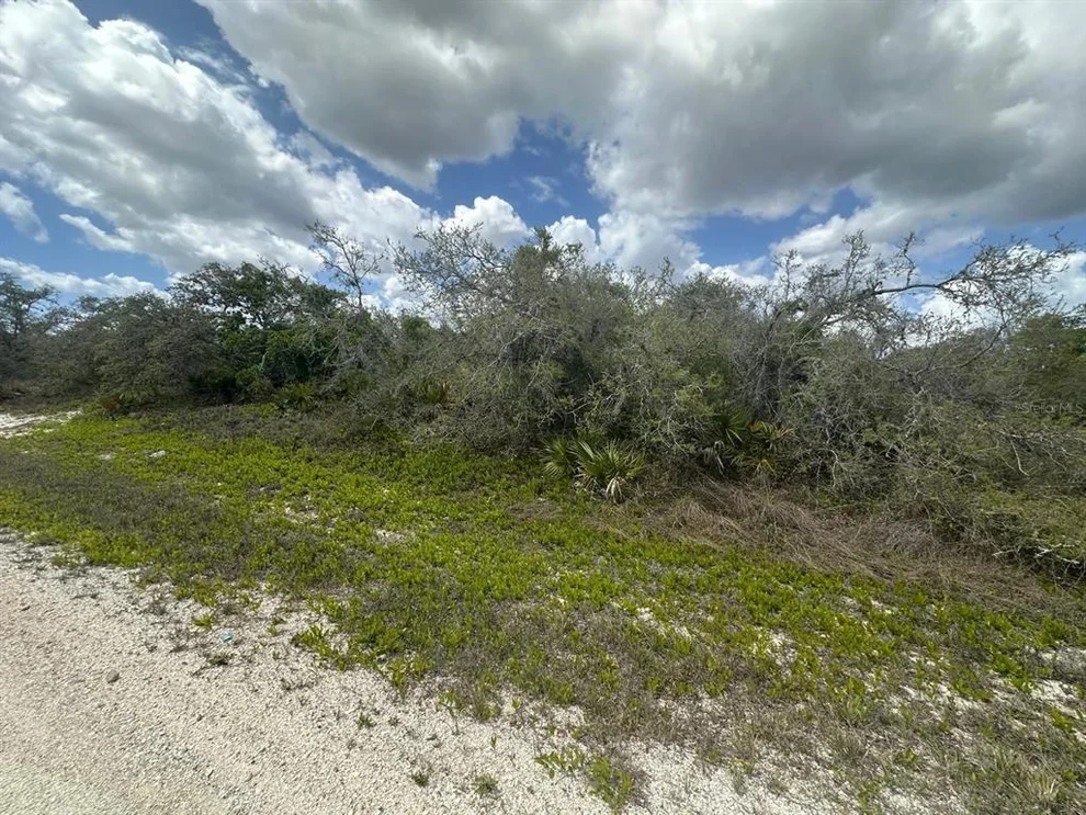 Unit for sale at 130 VAGABOND AVENUE, LAKE PLACID, FL 33852
