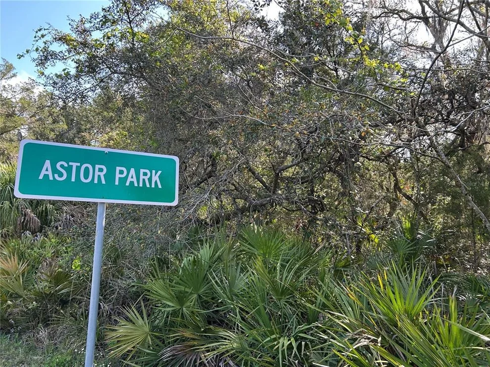 Unit for sale at COUNTY ROAD 445A, ASTOR, FL 32102