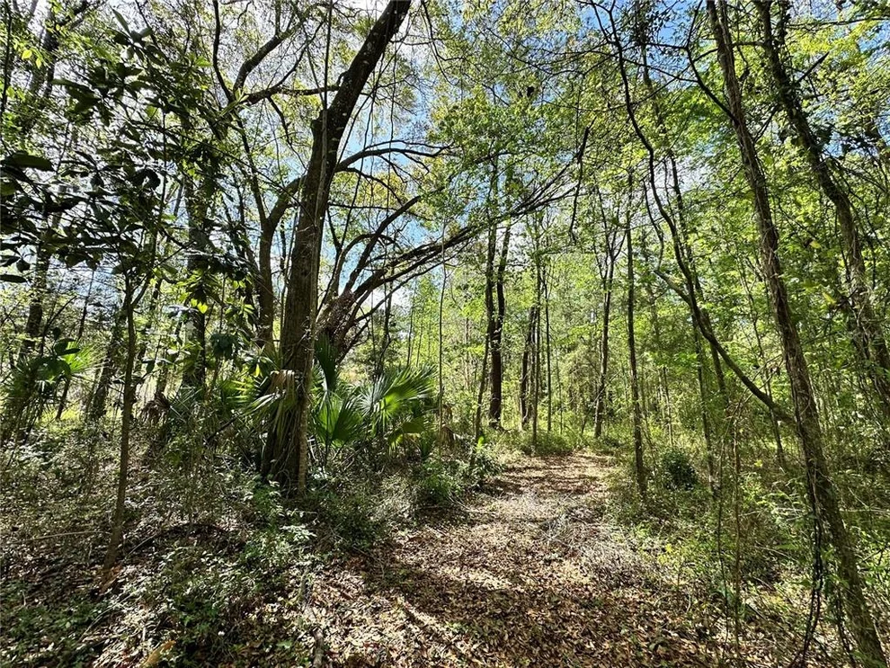 Unit for sale at tbd SW 5TH LANE, OCALA, FL 34481