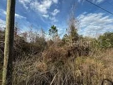 Unit for sale at 4125 QUAIL NEST LANE, NEW SMYRNA BEACH, FL 32168