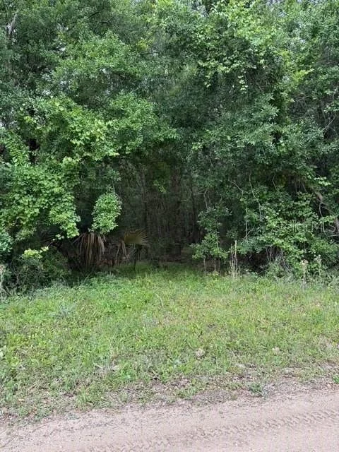 Unit for sale at 190 CATHERINE STREET, BUNNELL, FL 32110