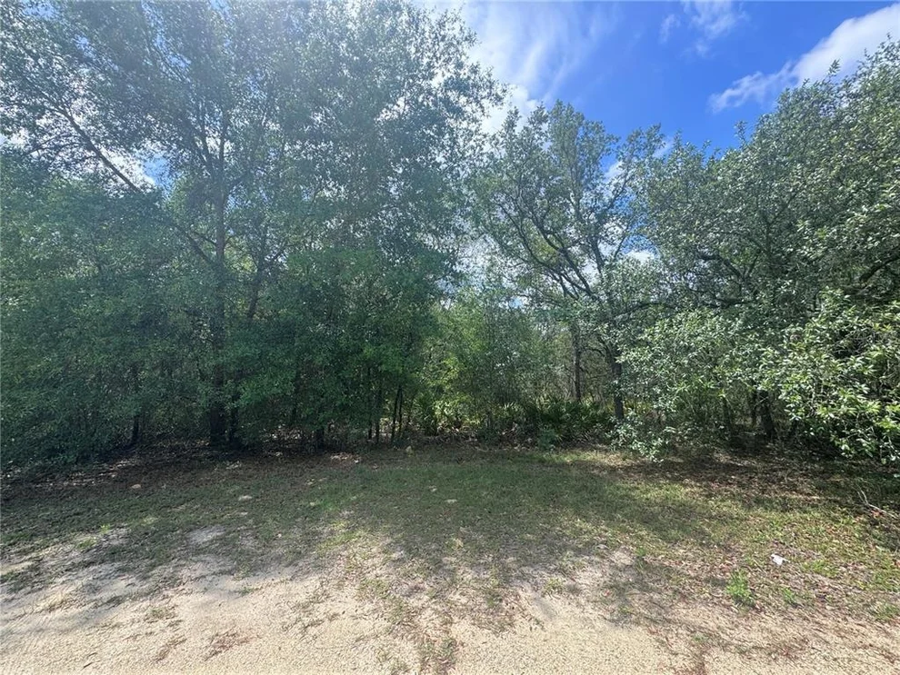 Unit for sale at 11548 NE 62ND LANE, WILLISTON, FL 32696