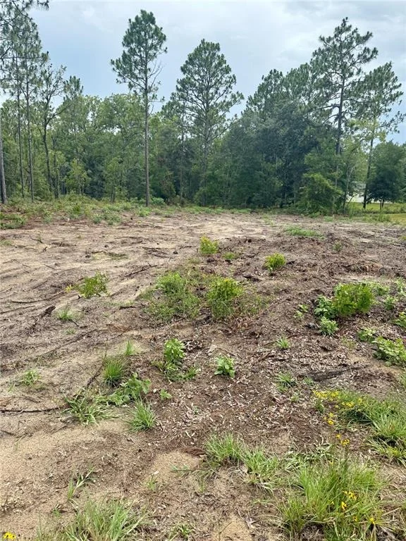 Unit for sale at TBD NE 151ST TERRACE, WILLISTON, FL 32696
