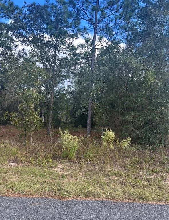 Unit for sale at TBD LOCUST LOOP PLACE LOT 8, OCALA, FL 34472