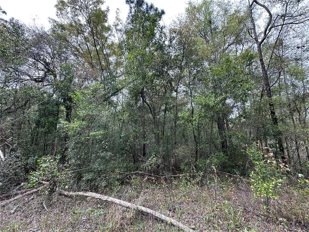 Unit for sale at tbd NE 154TH TERRACE, WILLISTON, FL 32696