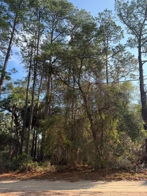 Unit for sale at TBD NE 236 TERRACE, FORT MC COY, FL 32134