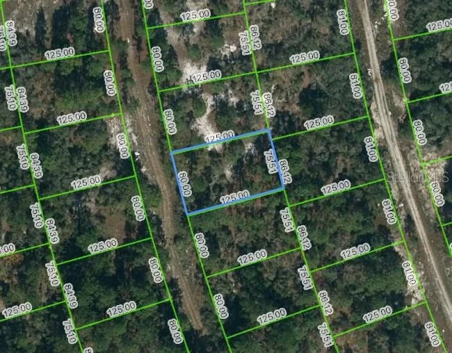 Unit for sale at 217 BLUE HORIZON DRIVE, LAKE PLACID, FL 33852