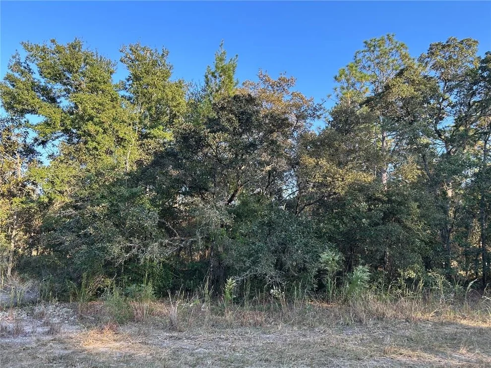 Unit for sale at TBD NE 148 TERRACE, WILLISTON, FL 32696