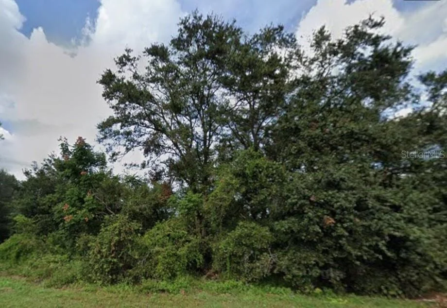 Unit for sale at 627 CITRUS GROVE BOULEVARD N, POLK CITY, FL 33868