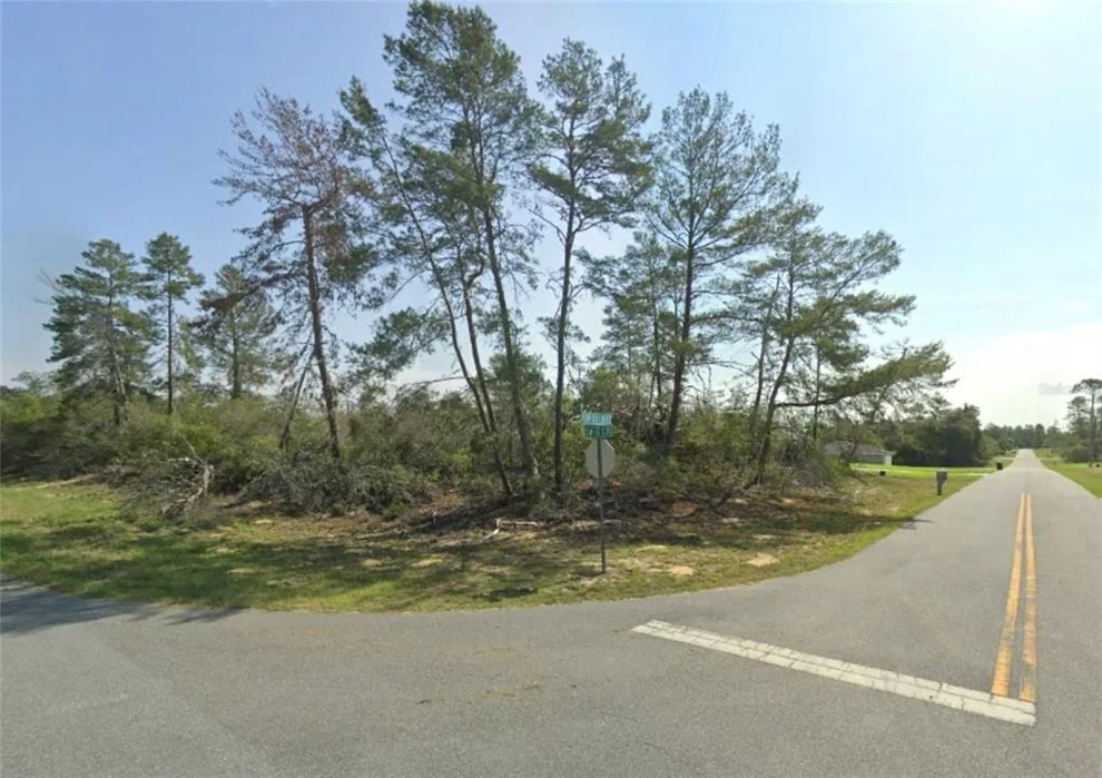 Unit for sale at TBD SW 178TH LN ROAD, OCALA, FL 34473